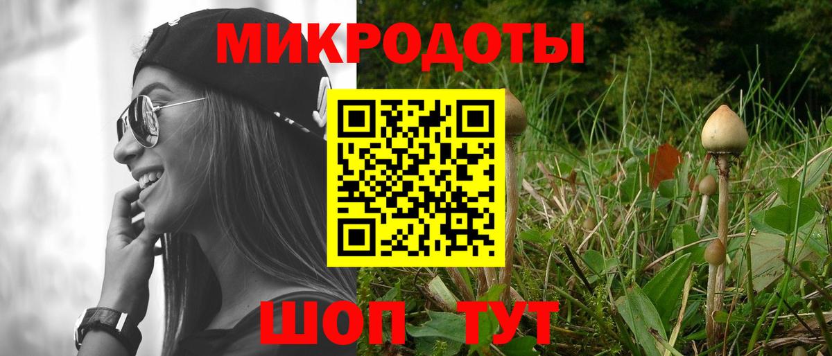 Псилоцибиновые грибы Psilocybine cubensis Павловский Посад