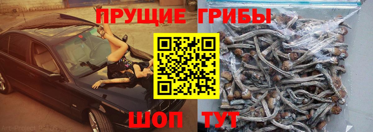 Псилоцибиновые грибы MAGIC MUSHROOMS  Вход с VPN  Павловский Посад 